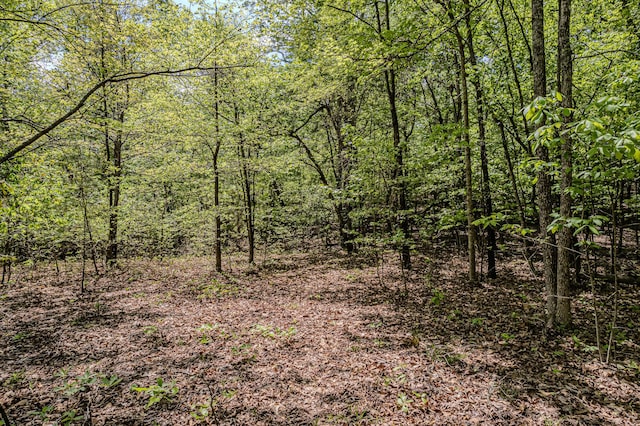 00 Euchee Rd, Ten Mile, TN 37880 - photo 21