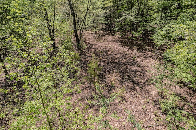 00 Euchee Rd, Ten Mile, TN 37880 - photo 23