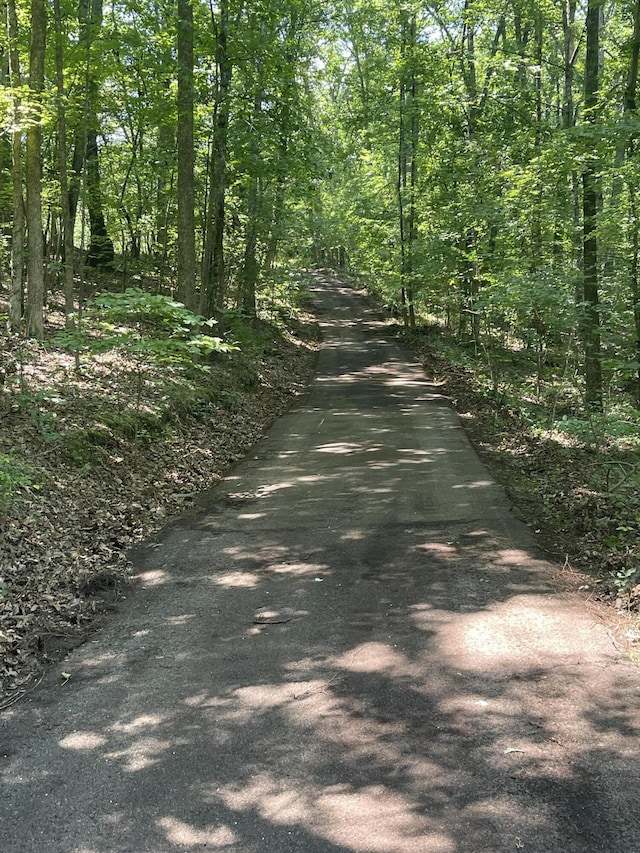 00 Euchee Rd, Ten Mile, TN 37880 - photo 3