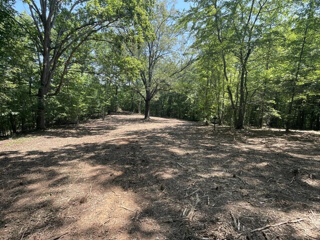 00 Euchee Rd, Ten Mile, TN 37880 - photo 5