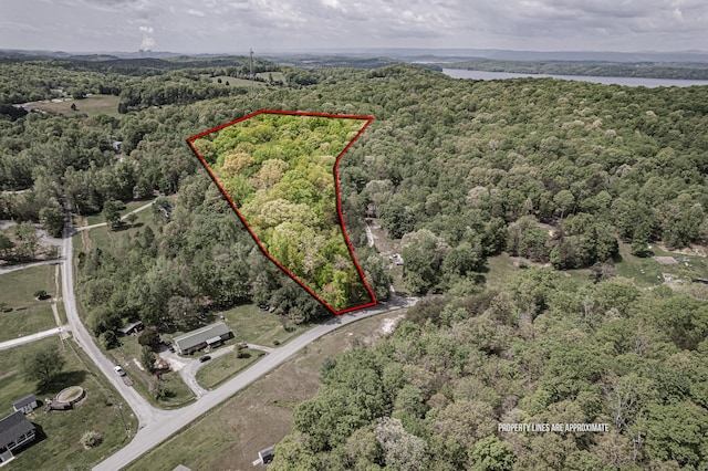 00 Euchee Rd, Ten Mile, TN 37880 - photo 1