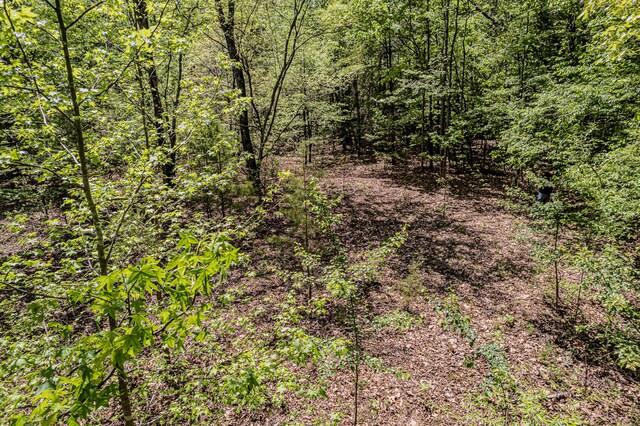 00 Euchee Rd, Ten Mile, TN 37880 - photo 14