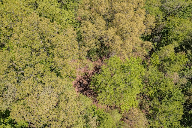 00 Euchee Rd, Ten Mile, TN 37880 - photo 20