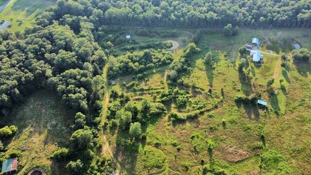 529 Mcnabb Rd, Evensville, TN 37332 - photo 5