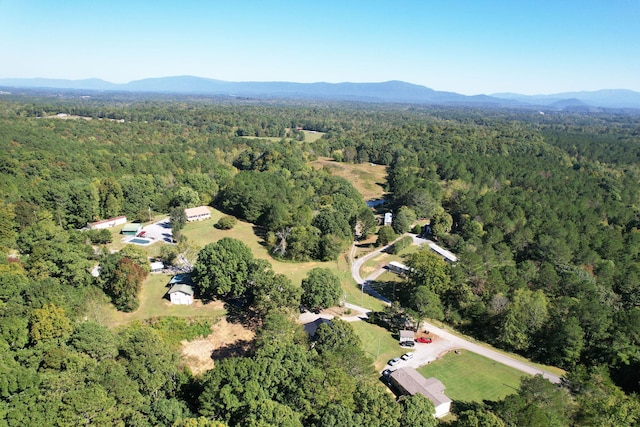 birds eye view of property with a mountain view