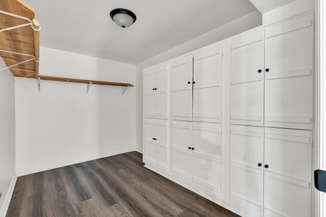 walk in closet with dark wood-type flooring