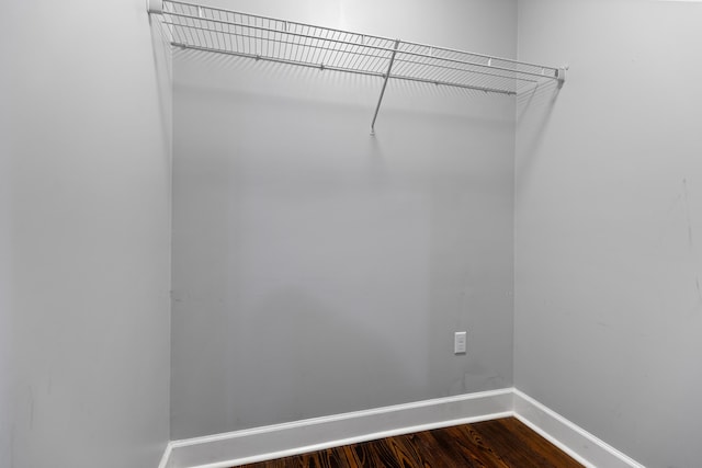 spacious closet featuring hardwood / wood-style flooring