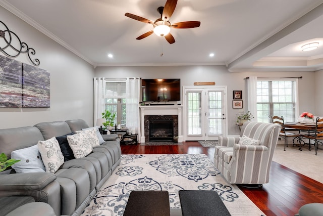 living area featuring ornamental molding, a ceiling fan, dark wood-style flooring, and a premium fireplace