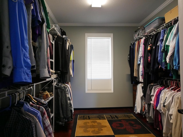 spacious closet featuring wood finished floors