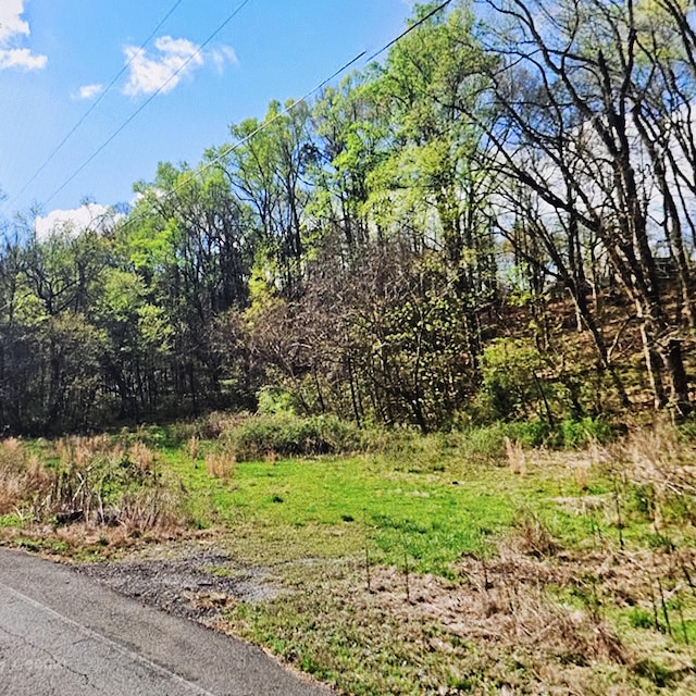 735 County Road 20, Calhoun, TN 37309 - photo 5