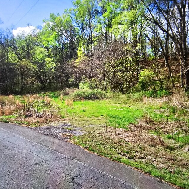 735 County Road 20, Calhoun, TN 37309 - photo 8