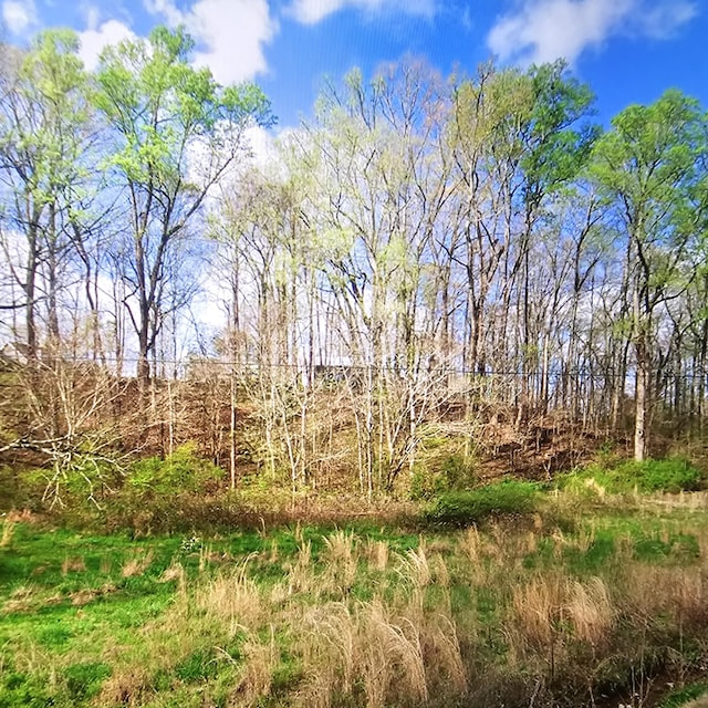 735 County Road 20, Calhoun, TN 37309 - photo 7