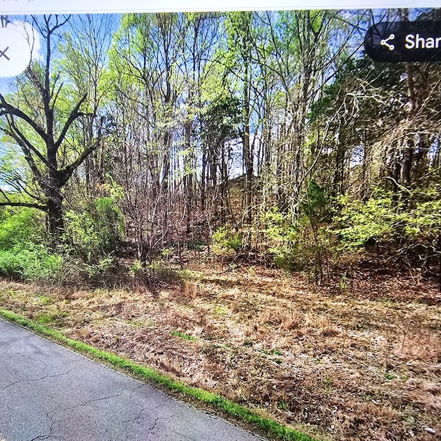 735 County Road 20, Calhoun, TN 37309 - photo 10