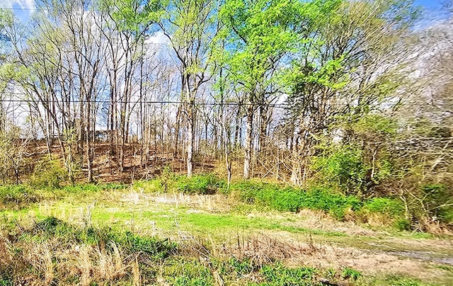 735 County Road 20, Calhoun, TN 37309 - photo 11