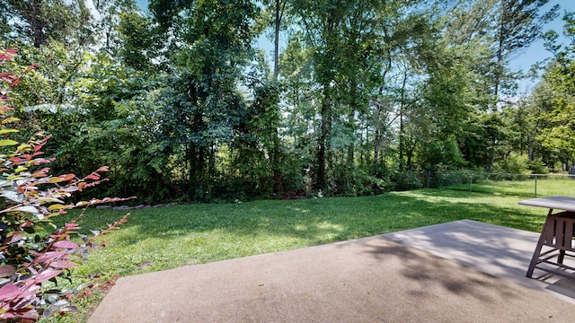 519 Cedar Glen Cir, Chattanooga, TN 37412 - view of yard with a patio
