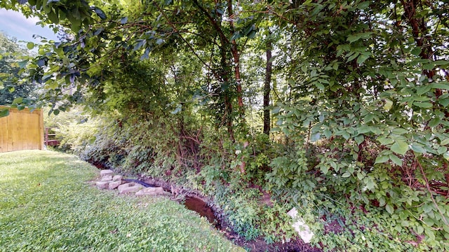 519 Cedar Glen Cir, Chattanooga, TN 37412 - view of yard