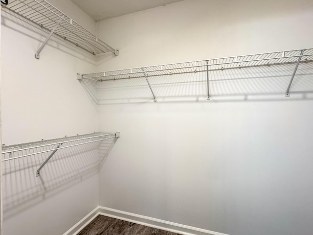 519 Cedar Glen Cir, Chattanooga, TN 37412 - spacious closet featuring dark wood-style floors