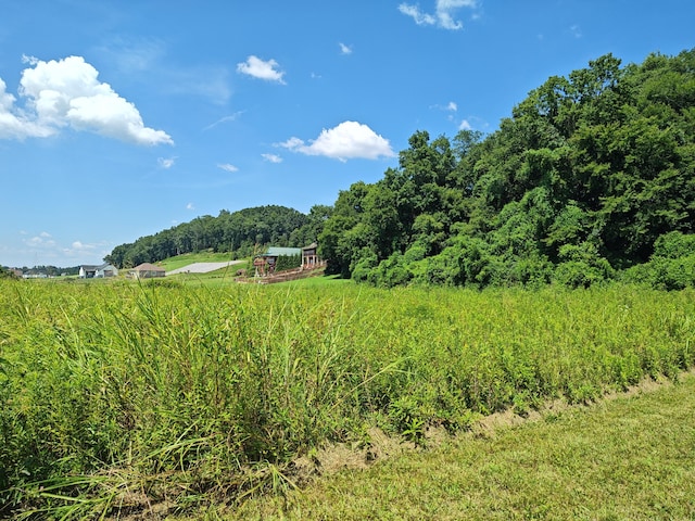 LOT72 Espalier Dr, Decatur, TN 37322 - photo 8