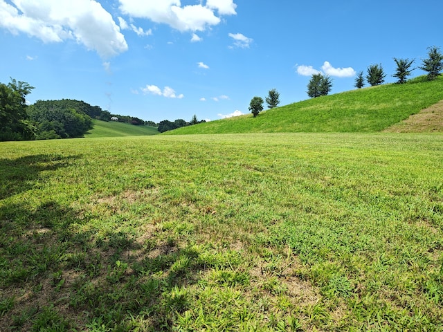 LOT72 Espalier Dr, Decatur, TN 37322 - photo 7