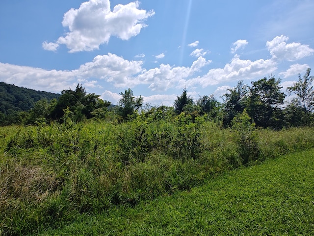 LOT72 Espalier Dr, Decatur, TN 37322 - photo 11