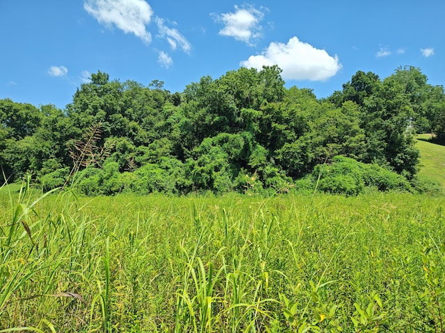 LOT72 Espalier Dr, Decatur, TN 37322 - photo 9