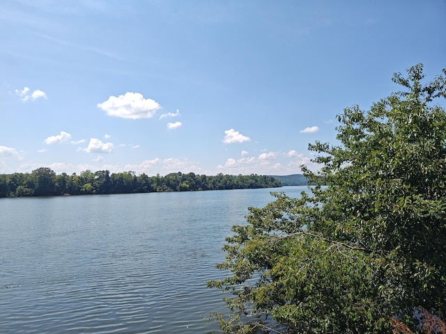 LOT72 Espalier Dr, Decatur, TN 37322 - photo 1
