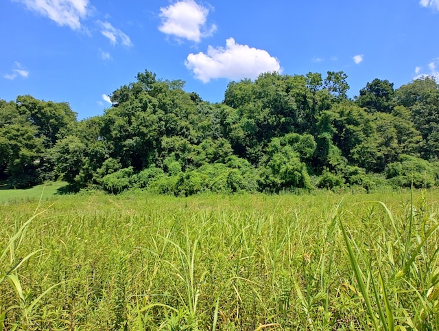 LOT72 Espalier Dr, Decatur, TN 37322 - photo 6