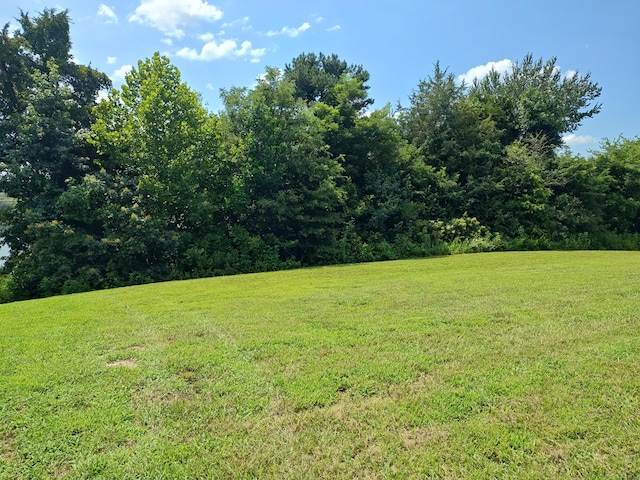 LOT72 Espalier Dr, Decatur, TN 37322 - photo 4