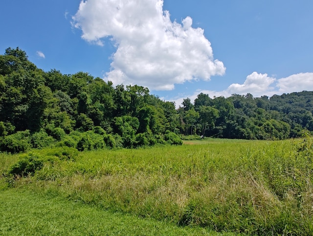 LOT72 Espalier Dr, Decatur, TN 37322 - photo 10