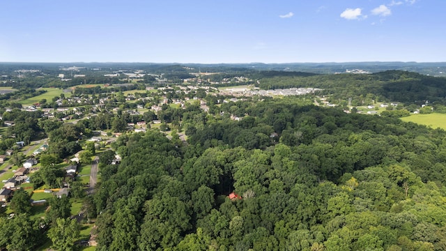 144 Low Brook Ct NE, Cleveland, TN 37312 - aerial view of property and surrounding area featuring a forest
