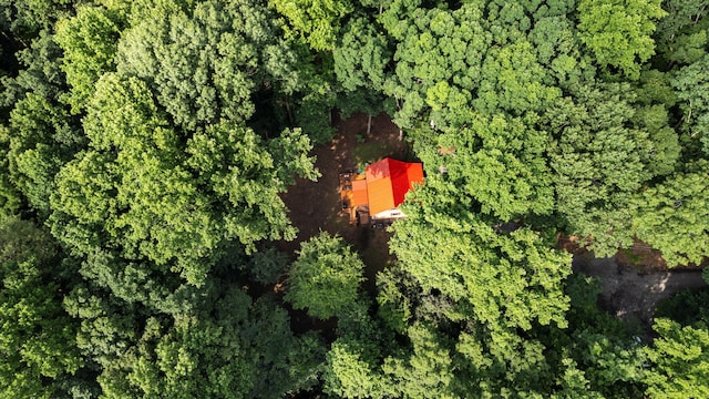 144 Low Brook Ct NE, Cleveland, TN 37312 - aerial view of property and surrounding area