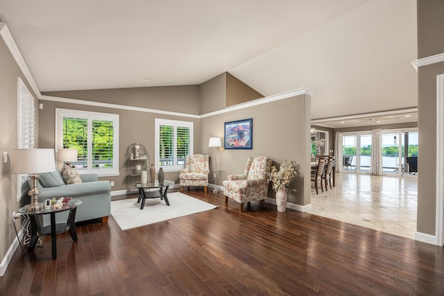 living room featuring hardwood / wood-style flooring, high vaulted ceiling, and plenty of natural light