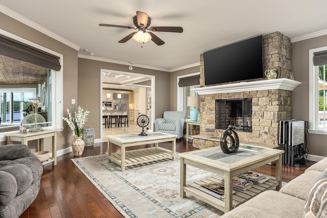 living room featuring crown molding, a fireplace, ceiling fan, and dark hardwood / wood-style floors