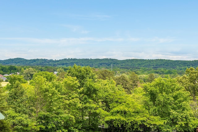 114 Monroe Dr, Ringgold, GA 30736 - view of mountain background with a heavily wooded area