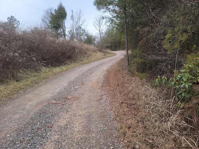 138 Singo Dr, Turtletown, TN 37391 - view of dirt / gravel road