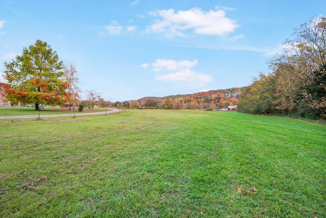 view of yard featuring a rural view