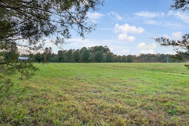 view of yard featuring a rural view