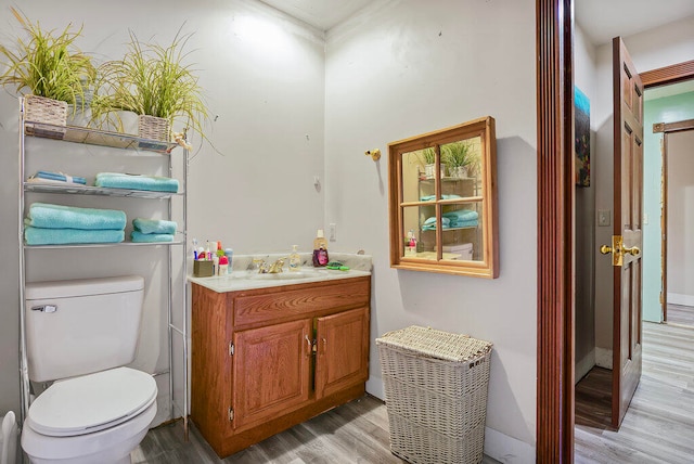 bathroom featuring vanity, toilet, and wood-type flooring