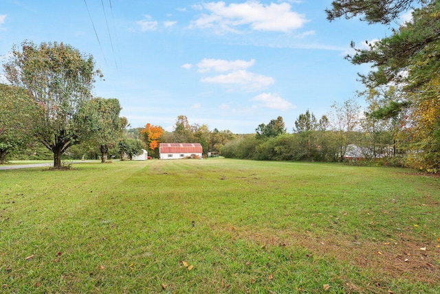 view of yard