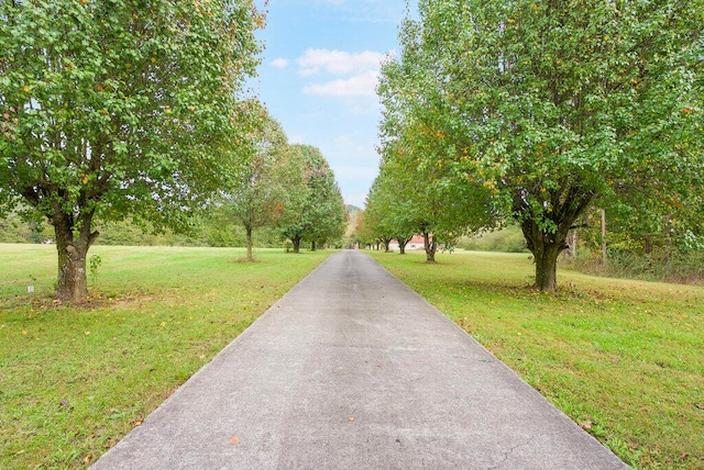 view of home's community featuring a yard