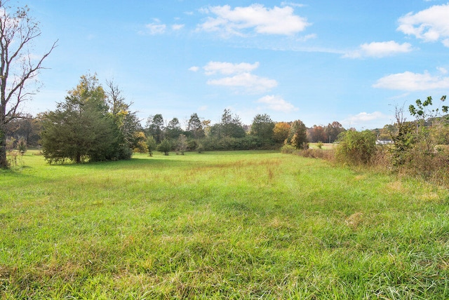 view of yard with a rural view