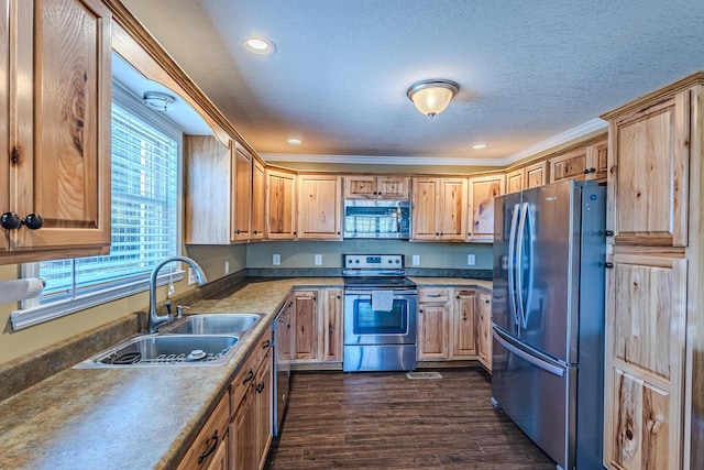 kitchen with dark wood-type flooring, sink, a textured ceiling, ornamental molding, and stainless steel appliances