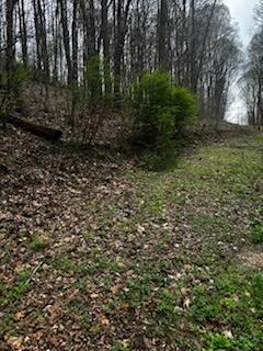 000 County Road 197, Athens, TN 37303 - photo 12