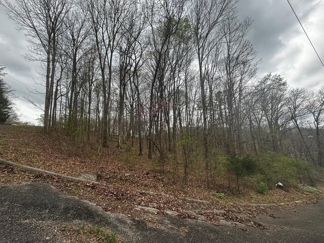 000 County Road 197, Athens, TN 37303 - photo 5
