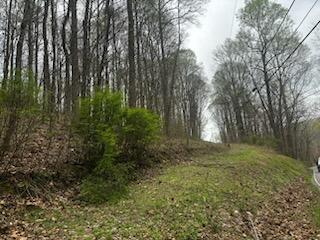 000 County Road 197, Athens TN, 37303 land for sale