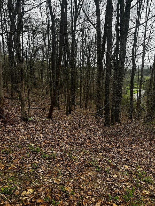 Listing photo 2 for 000 County Road 197, Athens TN 37303