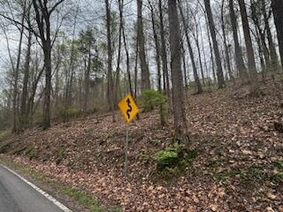 000 County Road 197, Athens, TN 37303 - photo 8