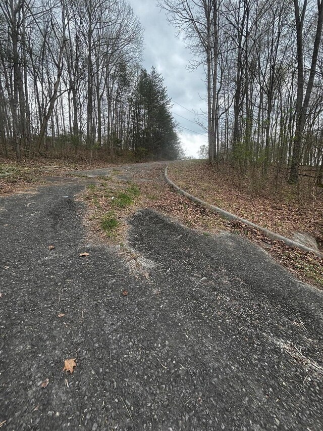 000 County Road 197, Athens, TN 37303 - photo 3