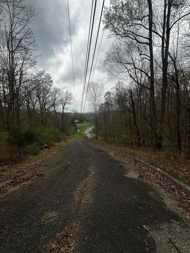 000 County Road 197, Athens, TN 37303 - photo 4