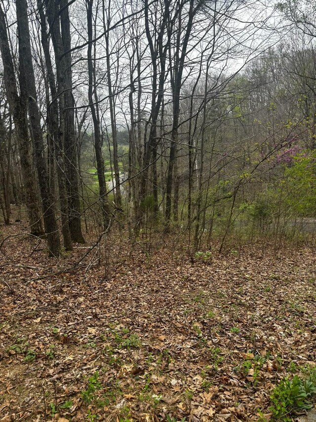 000 County Road 197, Athens, TN 37303 - photo 7
